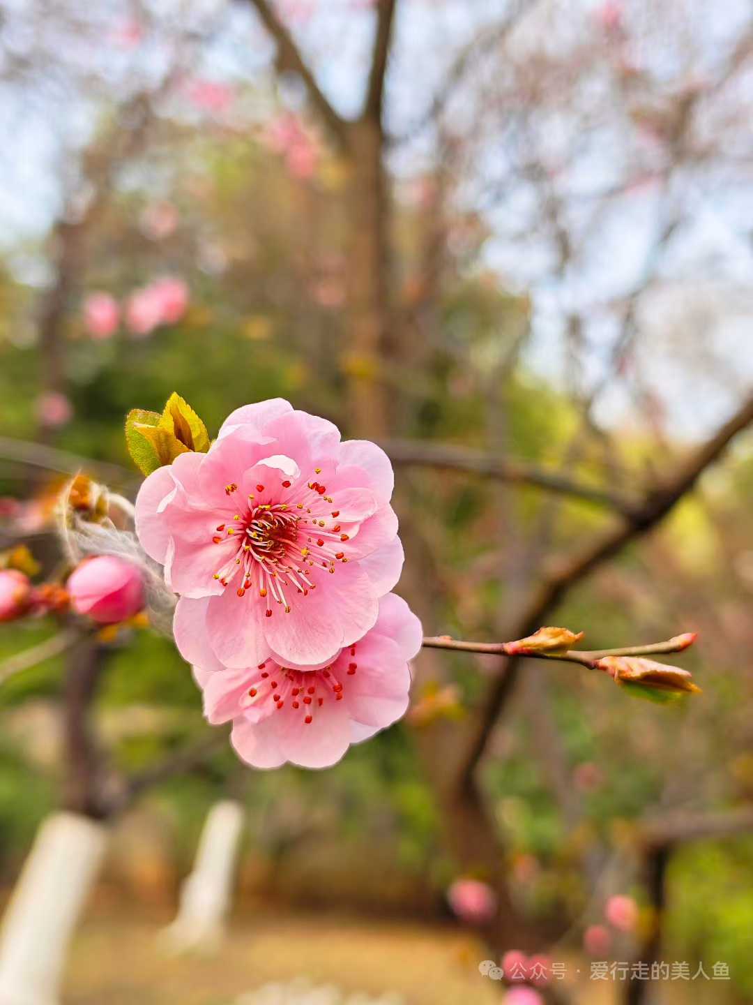 ��ů����